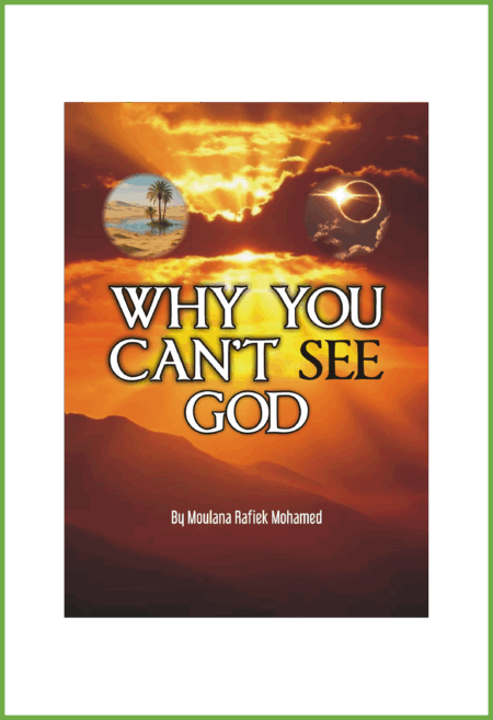 Why You Can't See God