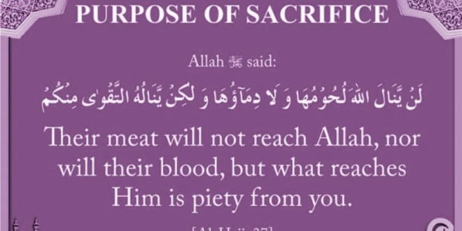 Sacrifice or Qurbani: Philosophy and Rules